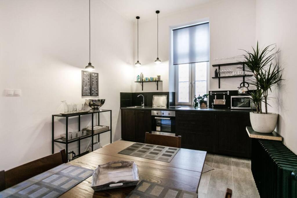 Your Gorgeous And Spacious Dream Home Free Parking بودابست المظهر الخارجي الصورة